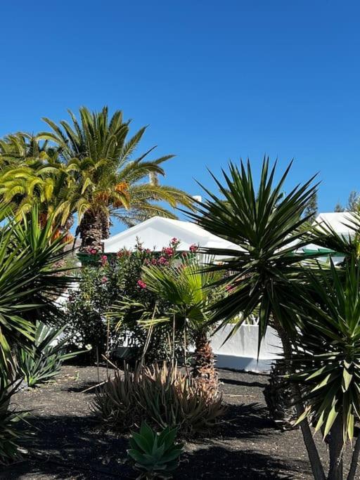 Lovely Casita Jade Playa Blanca  Exterior foto